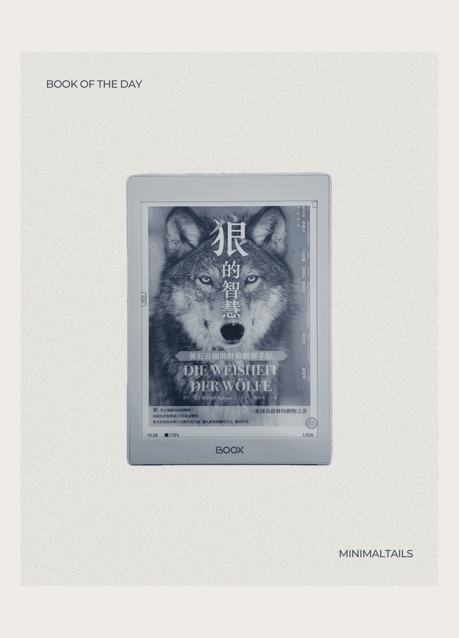 《狼的智慧：我的 25 年荒野觀狼之旅》封面